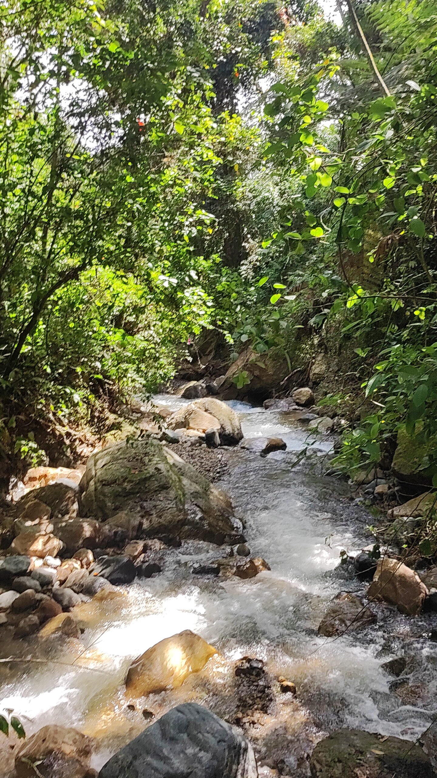 rio isabeles